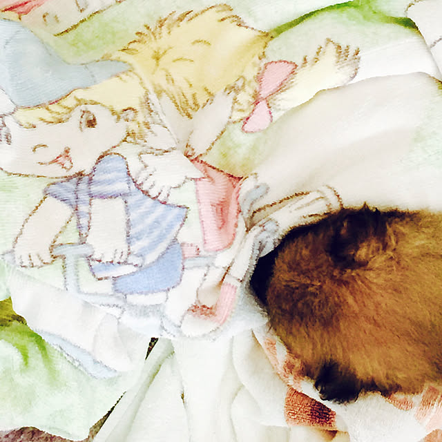 mikoさんの実例写真