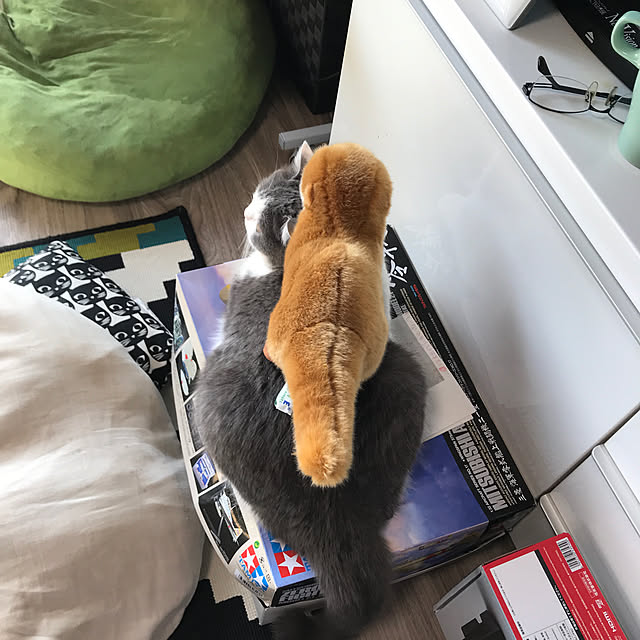 noikoさんの実例写真