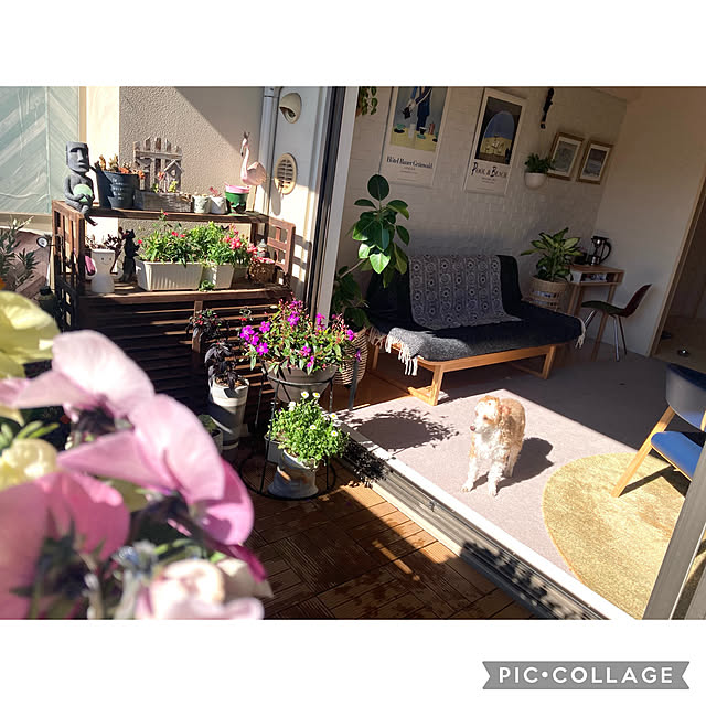 marukoさんの部屋