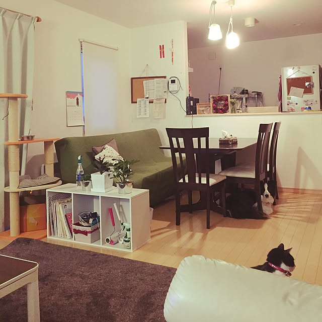 Chicchiさんの実例写真