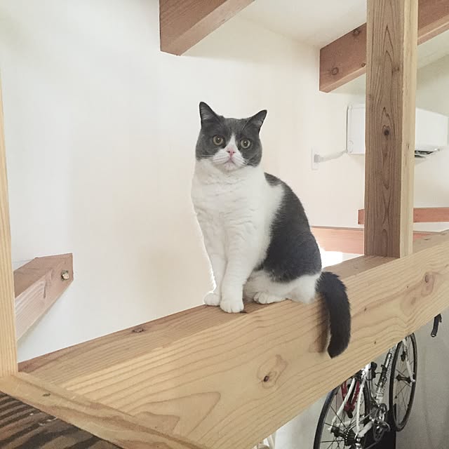 mohayaeteさんの実例写真