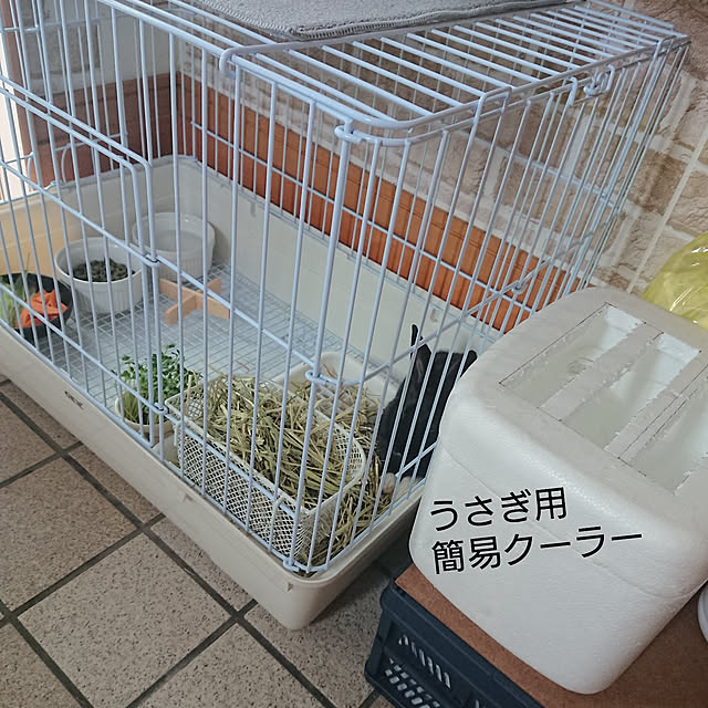 soyokoさんの実例写真