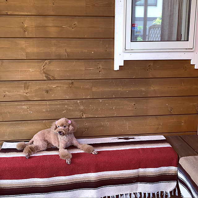 minnieさんの実例写真