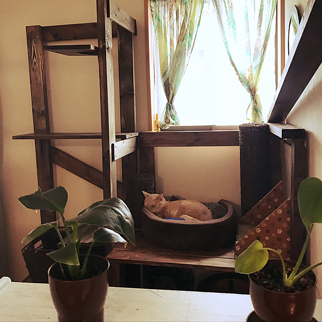mikan161さんの実例写真