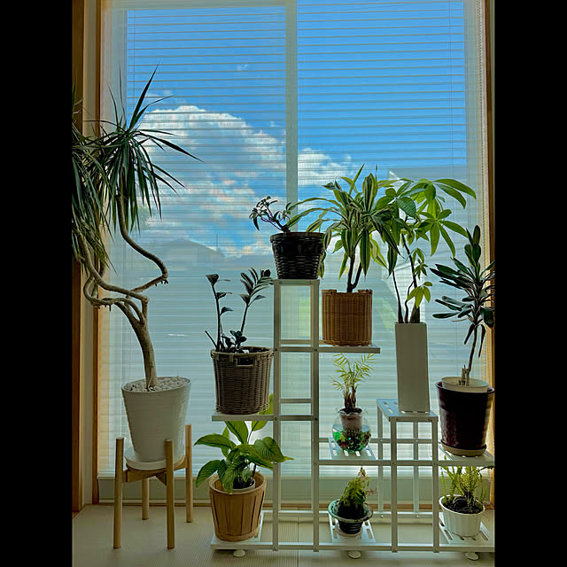 tamabaka1971さんの部屋