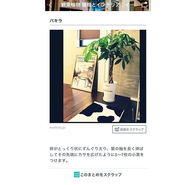 etsurio.ryuさんの実例写真