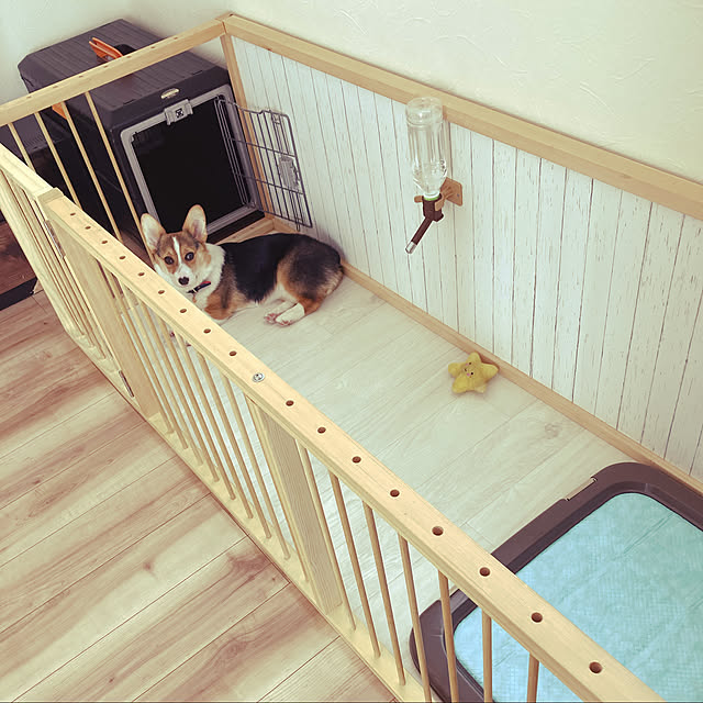 bobさんの実例写真