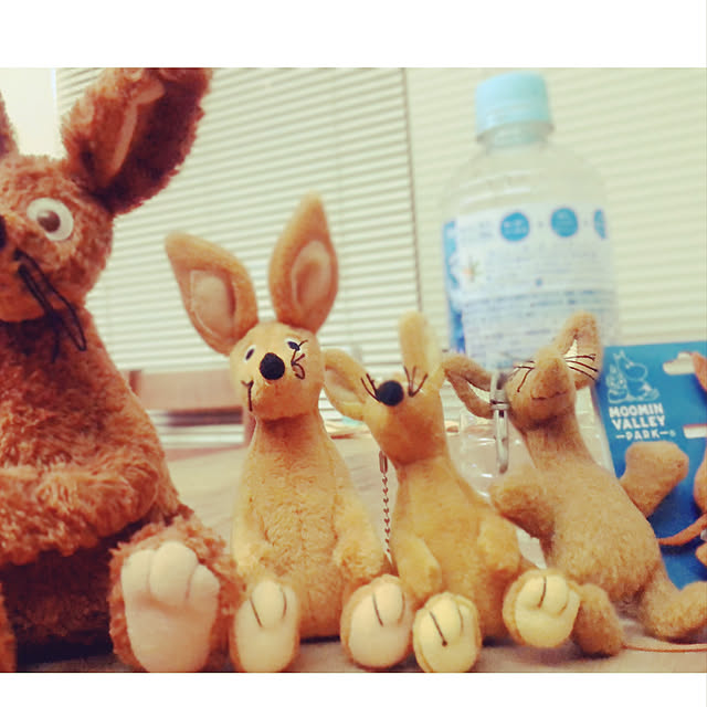 cooさんの実例写真