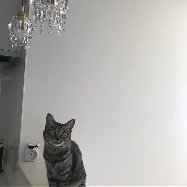sugarさんの実例写真