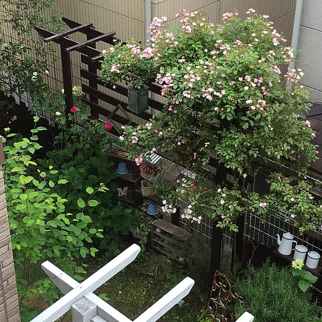 yunaさんの実例写真