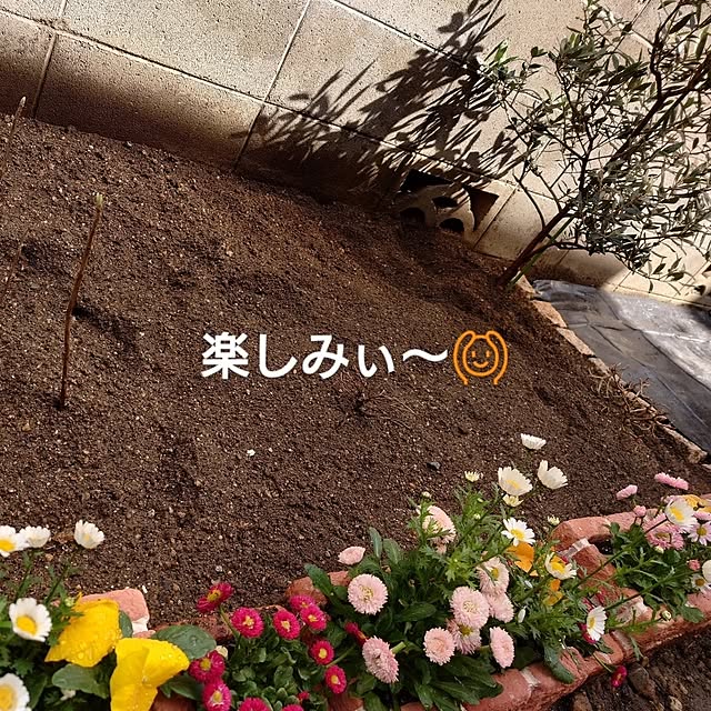 JUNKOさんの部屋