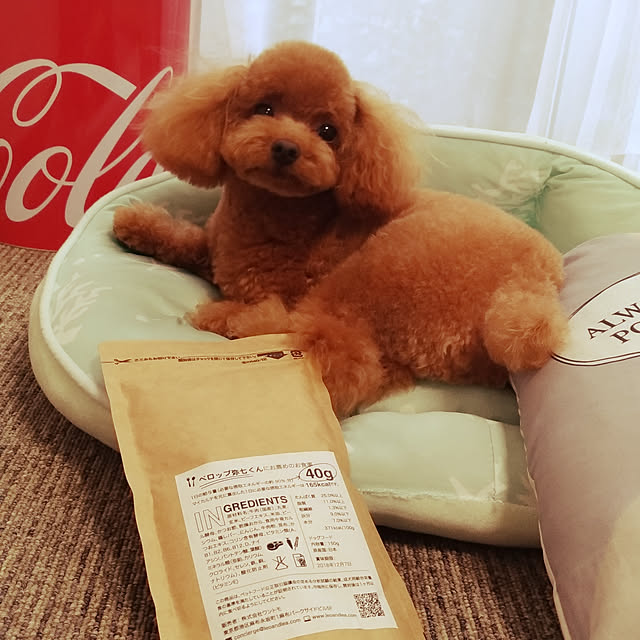 Samさんの実例写真