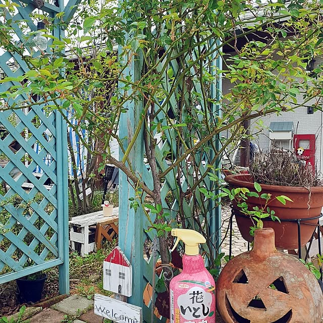 prepreさんの部屋