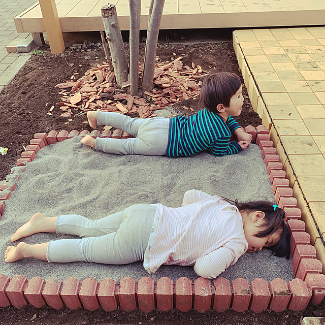 toyosupapaさんの実例写真