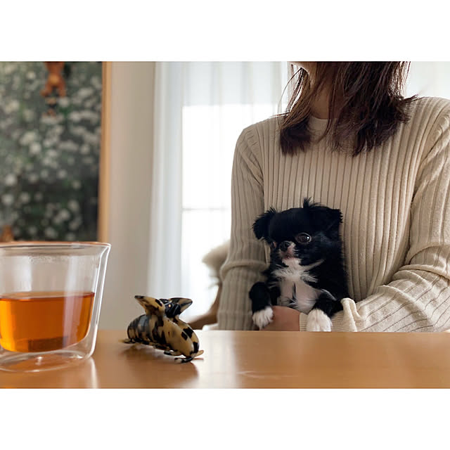 haruhinaさんの実例写真
