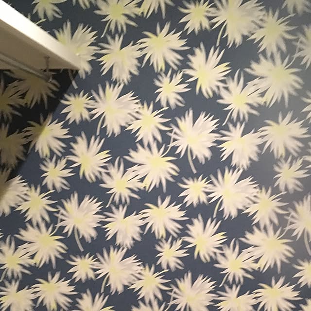 naoさんの実例写真