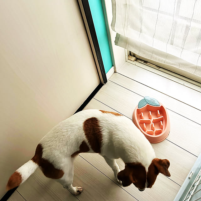 kittyさんの部屋