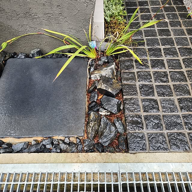 gon_hausさんの実例写真