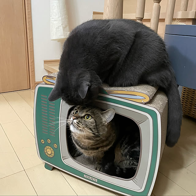 Chocolatさんの実例写真