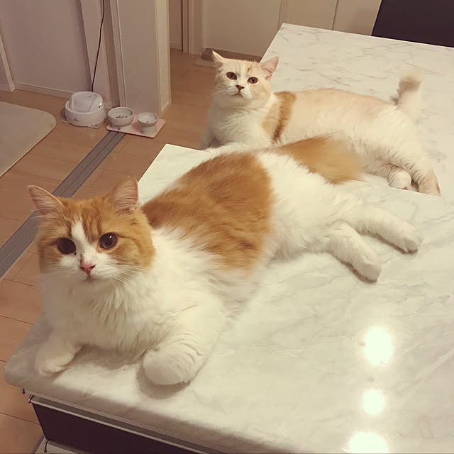 H.Tさんの実例写真