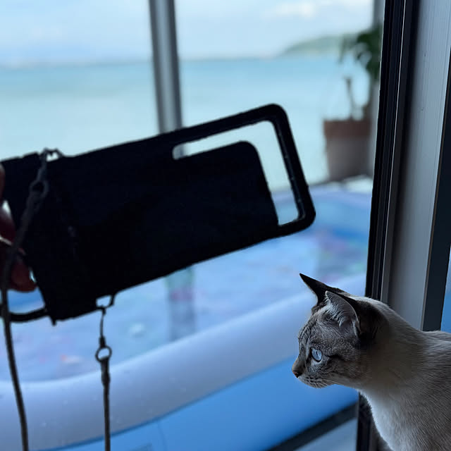 amさんの実例写真