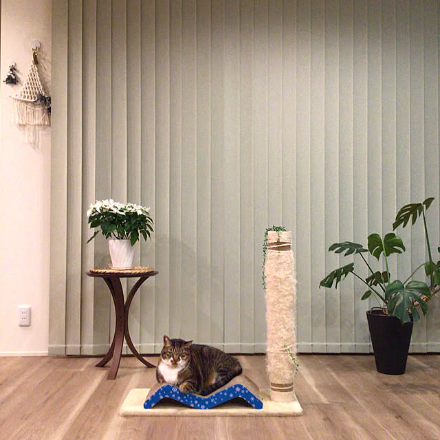 houenさんの実例写真