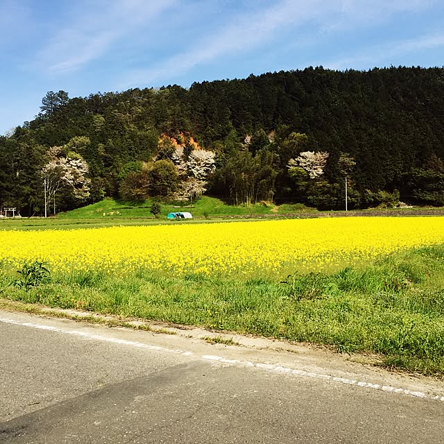 実例写真
