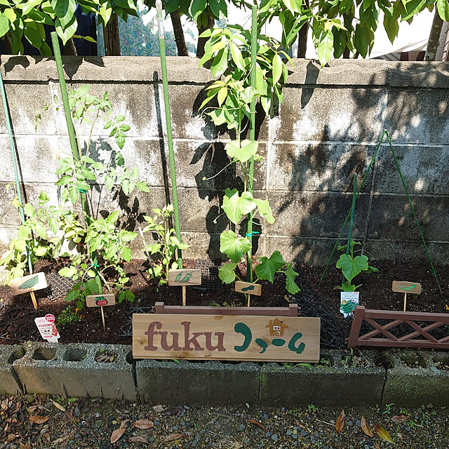 fukuさんの実例写真