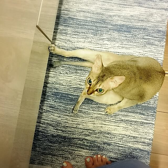 Jcさんの実例写真
