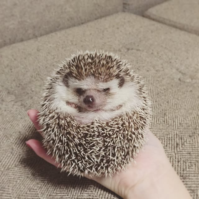 yu_kiさんの実例写真