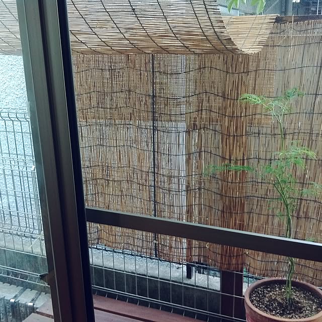 hoshikoさんの実例写真