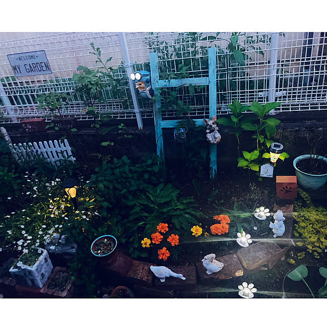 CoCo0617さんの実例写真