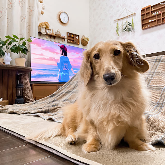 -Riley-mama.-さんの部屋