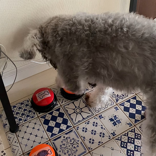 alchoさんの部屋