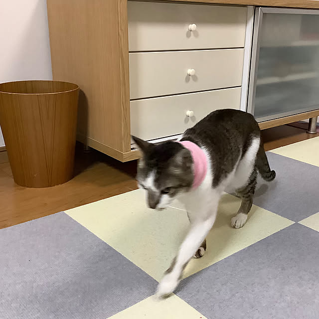 haruminさんの部屋