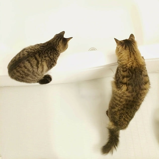 weさんの実例写真