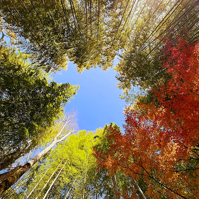 yukarin-gardenさんの部屋
