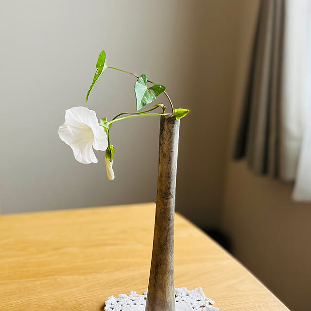 junさんの実例写真