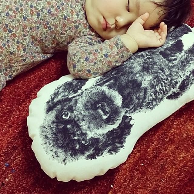 実例写真