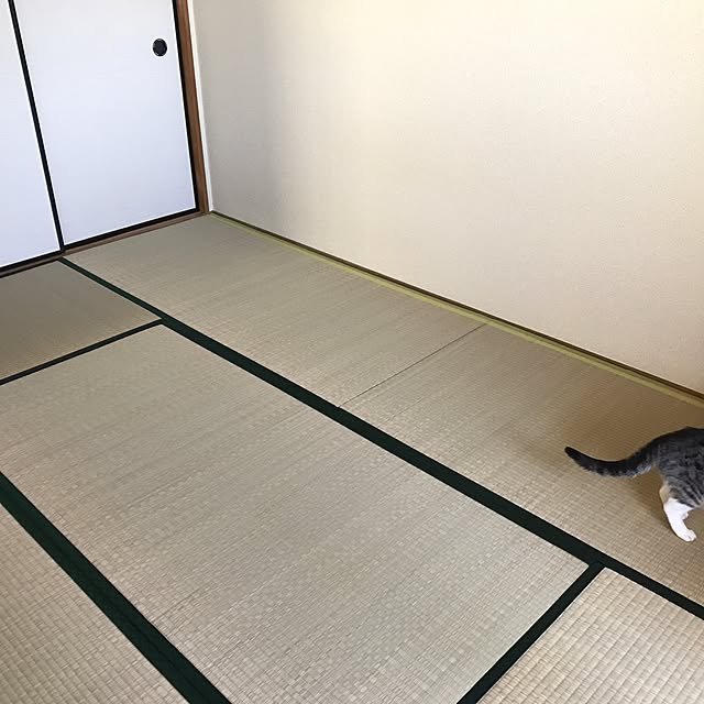 tomeko_mowさんの実例写真