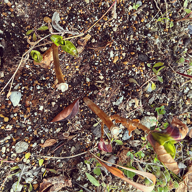 ayayayayaさんの部屋