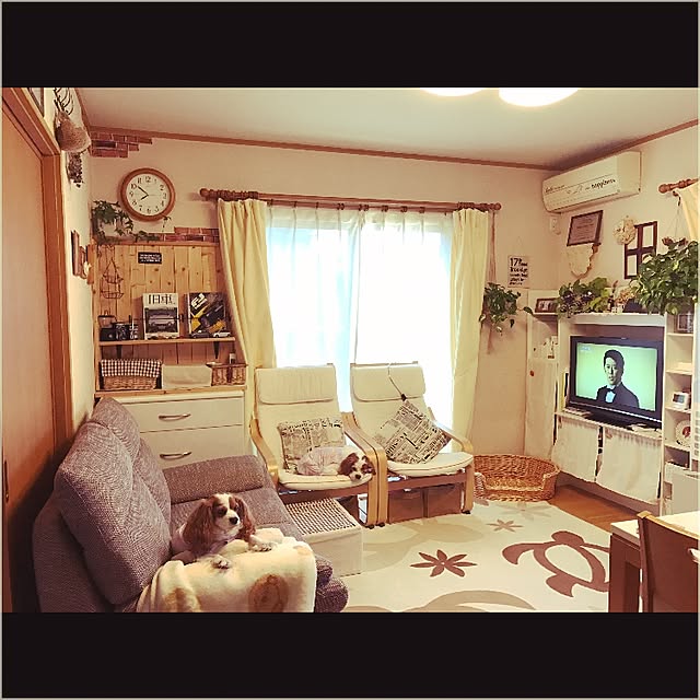 canmilmamaさんの実例写真