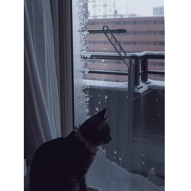 oliveさんの実例写真
