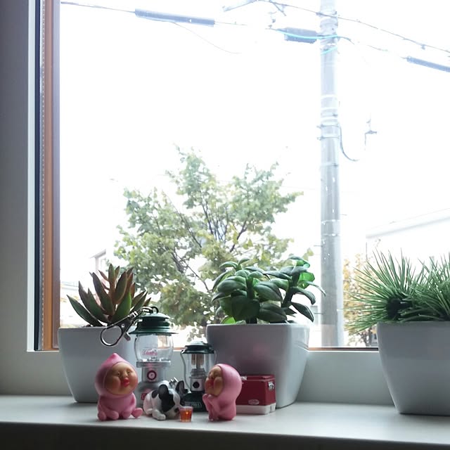 akikoさんの実例写真