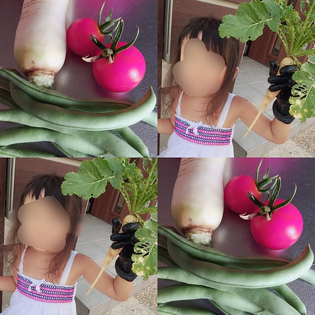 fuyunyanさんの実例写真
