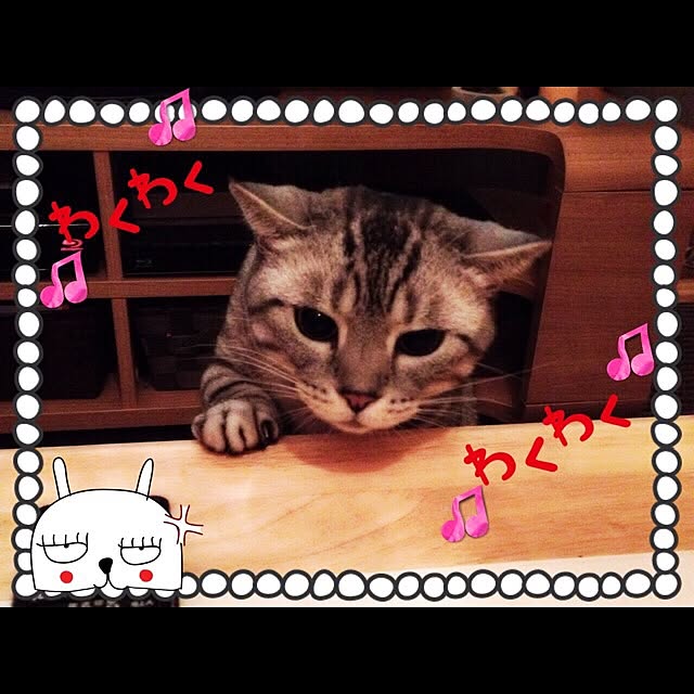 実例写真