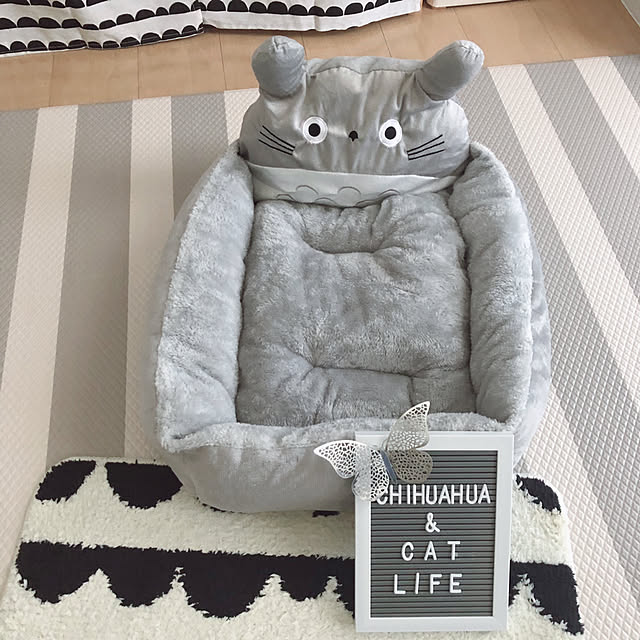 Emiさんの実例写真
