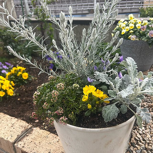 banbinaさんの部屋