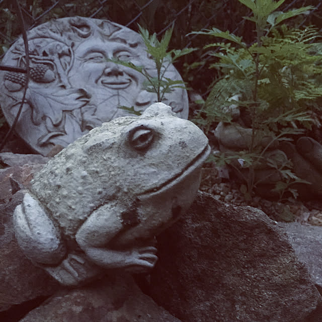 .さんの実例写真