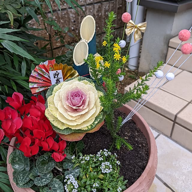 panさんの実例写真